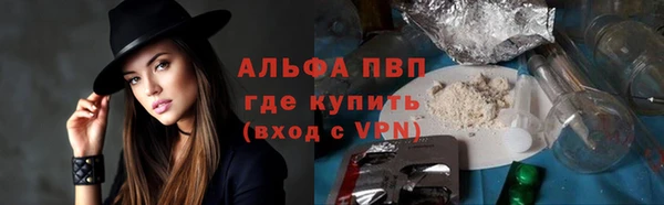 прущие грибы Богородск