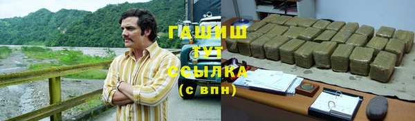прущие грибы Богородск