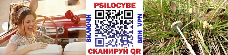 Галлюциногенные грибы GOLDEN TEACHER  купить  сайты  Беслан 